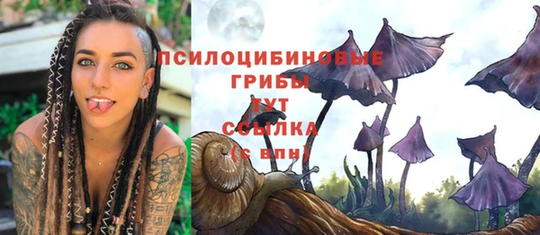 скорость Арсеньев