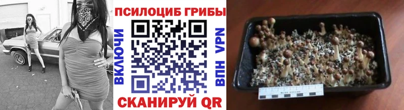 Псилоцибиновые грибы MAGIC MUSHROOMS  Белоусово 